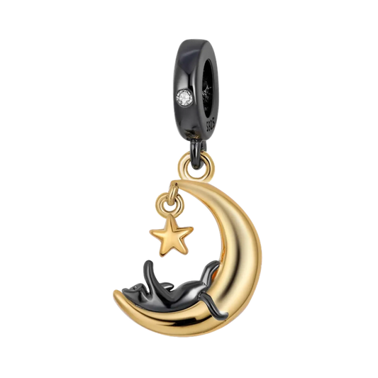 Charm Chat noir sur une lune doree