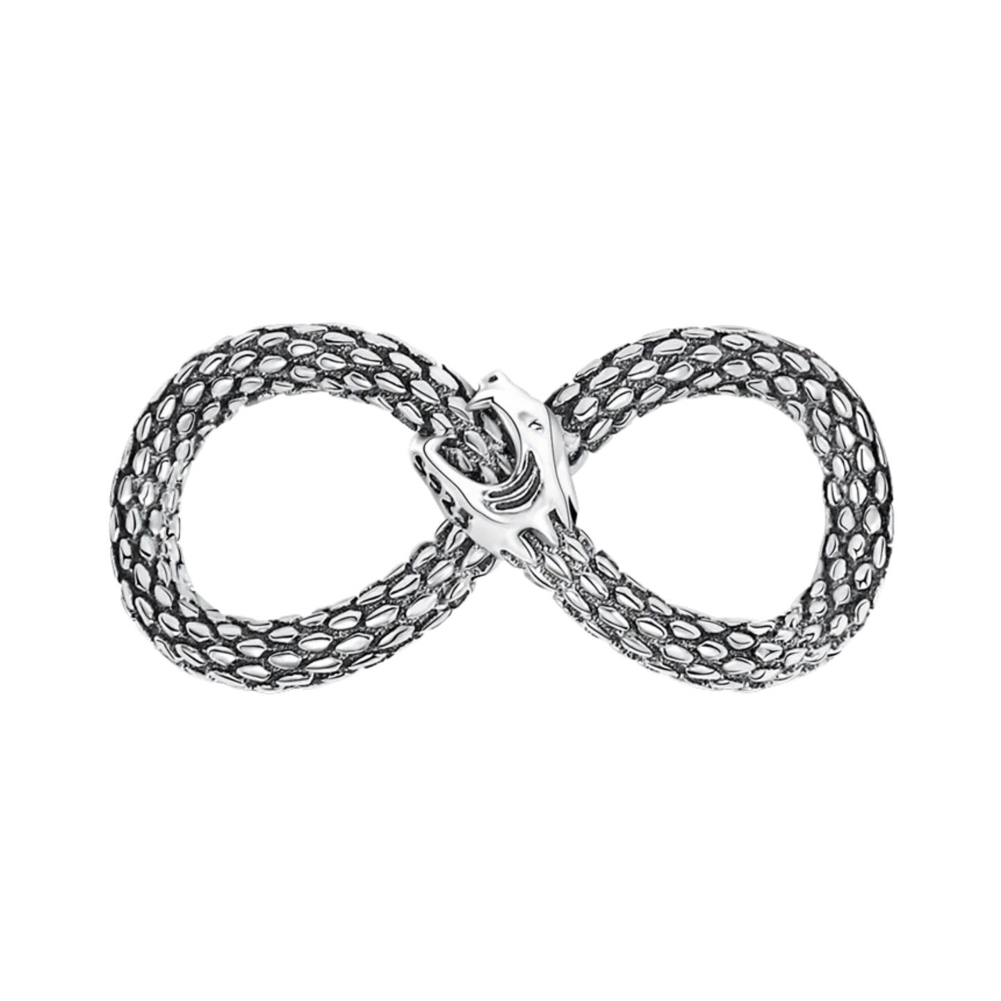 Serpent forme Infini